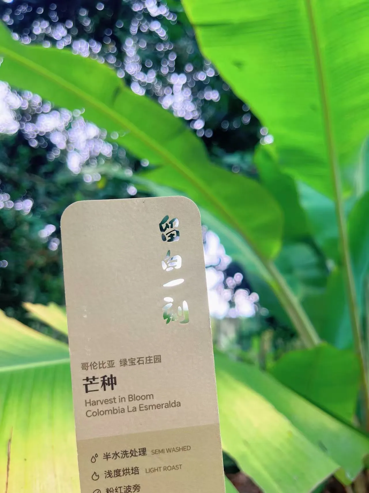 留白一刻