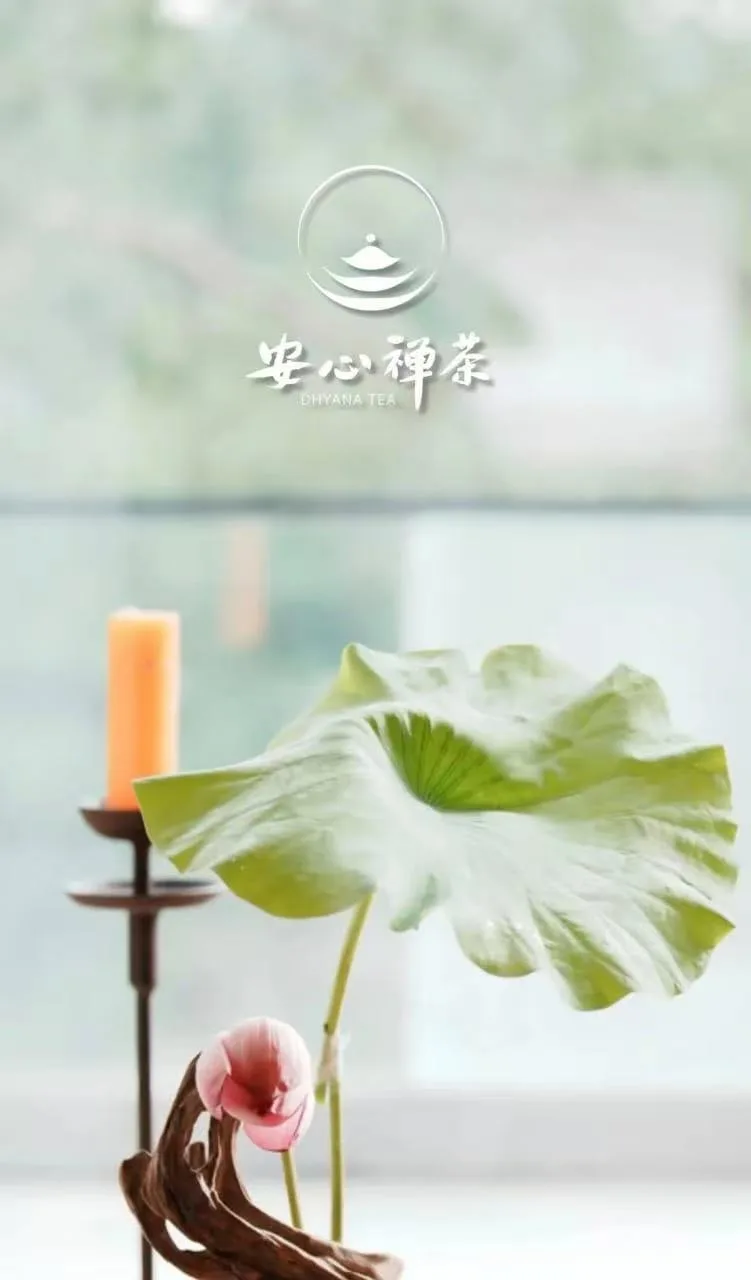 玻璃容器中插放的粉红花朵和绿叶,背景为模糊窗景和品牌标志