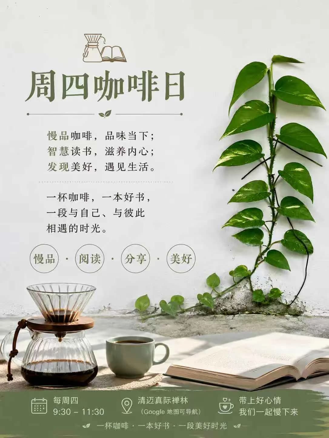 咖啡冲泡器、陶杯、开放书籍和绿色植物摆放在白色背景前