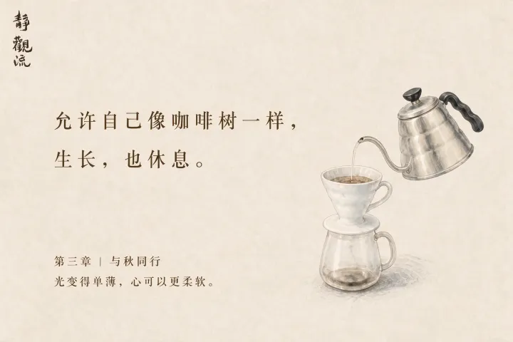 金属细口壶将热水倒入白色陶瓷滤杯,下方玻璃分享壶接盛咖啡