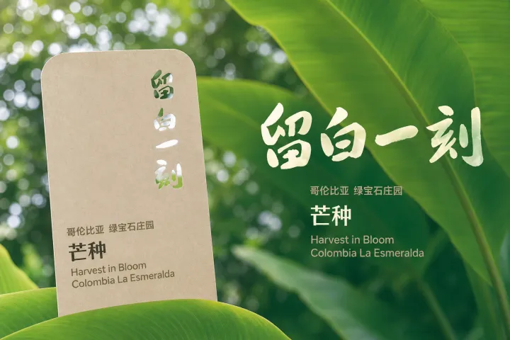 留白一刻