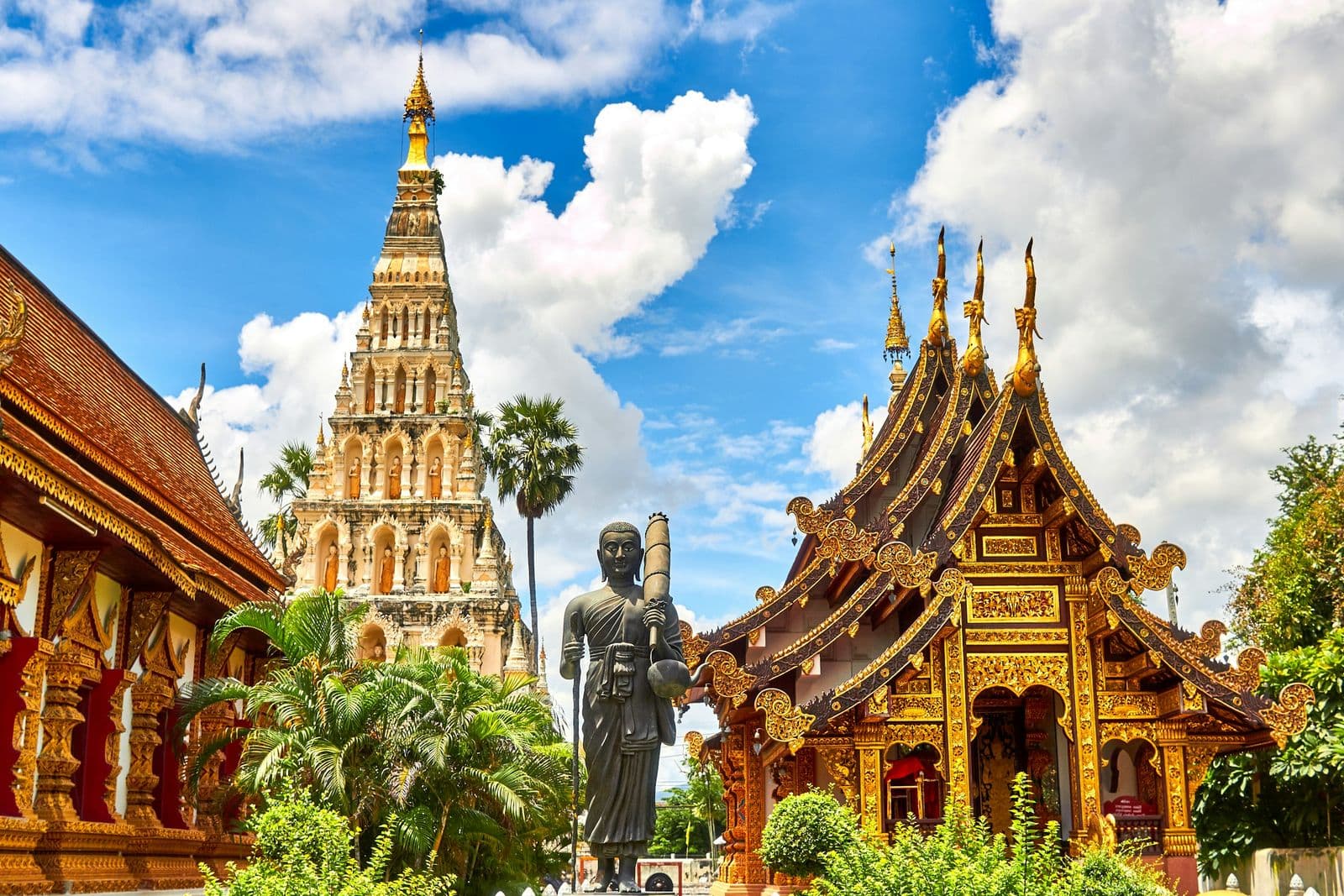 Mindful Peace Academy Thailand network hero image